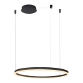 Azzardo AZ4960 - Lustre LED regulável em cabo HALO LED/54W/230V diâmetro 80 cm preto