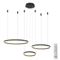 Azzardo AZ4972 - Candelabro suspenso LED com regulação HALO LED/120W/230V preto + controlo remoto