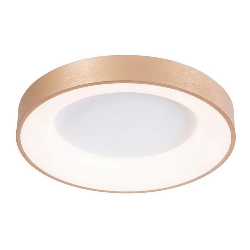 Azzardo AZ4988 - Iluminação de teto LED SANTANA LED/30W/230V dourada