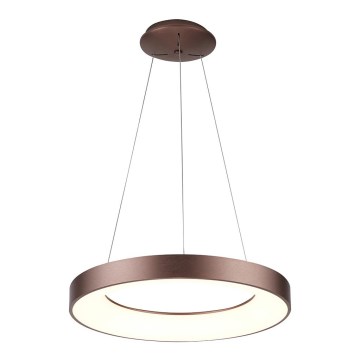 Azzardo AZ4998 - Lustre LED suspenso em cabo SANTANA LED/30W/230V castanho