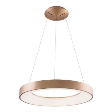 Azzardo AZ5000 - Lustre LED suspenso em cabo SANTANA LED/30W/230V dourado