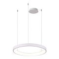 Azzardo AZ5021 - Candeeiro suspenso LED com regulação AGNES LED/60W/230V diâmetro 78 cm branco