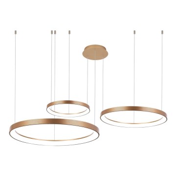 Azzardo AZ5026 - Candeeiro suspenso LED com regulação AGNES LED/120W/230V dourada