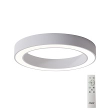 Azzardo AZ5031 - Iluminação de teto LED com regulação MARCO LED/50W/230V branco + controlo remoto