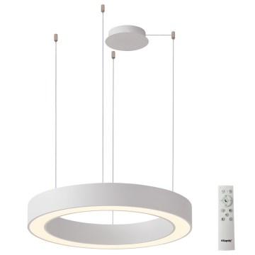 Azzardo AZ5043 - Candelabro suspenso LED com regulação MARCO LED/50W/230V branco + controlo remoto
