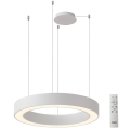 Azzardo AZ5052 - Lustre LED dimerizável suspenso por cabo MARCO LED/100W/230V branco + controlo remoto