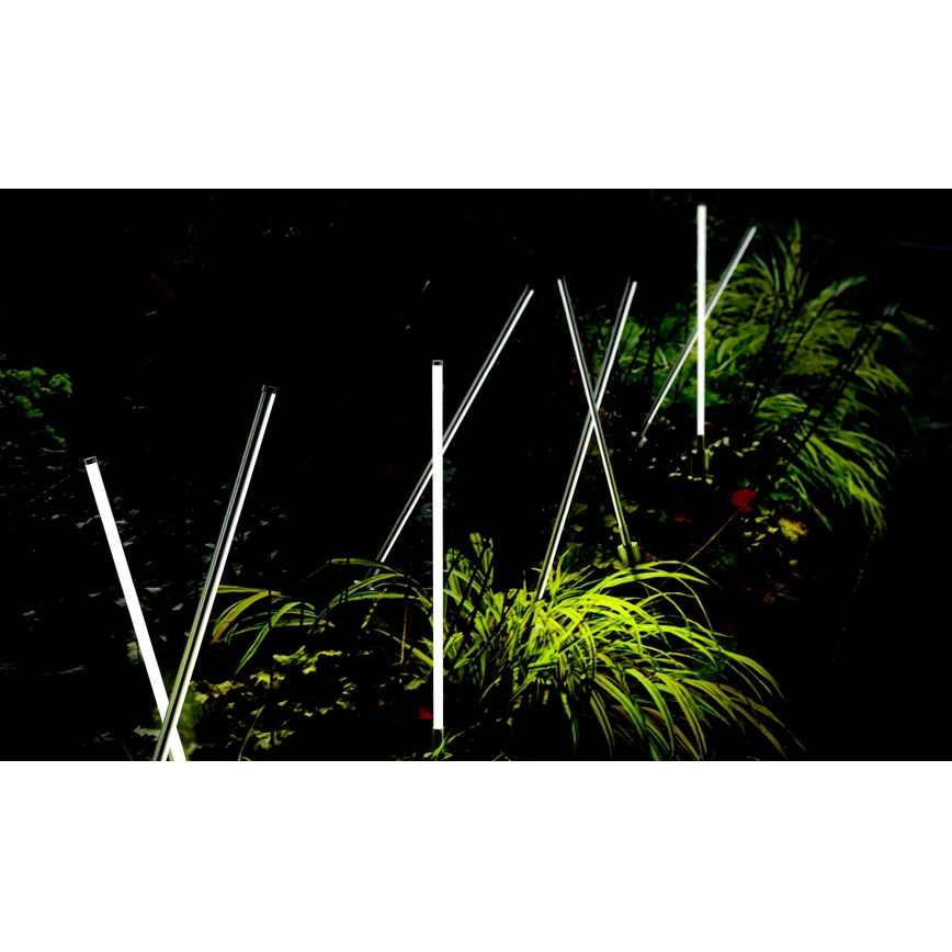 Azzardo AZ5337 - Candeeiro exterior LED FREDO LED/6W/230V IP54 58 cm