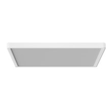 Azzardo AZ5361 - Iluminação de teto para casa de banho LED com sensor PANKA LED/24W/230V IP40 branco