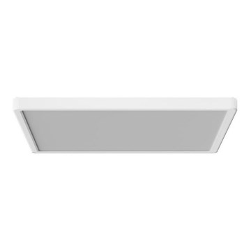 Azzardo AZ5371 - Iluminação de teto de casa de banho LED com regulação PANKA LED/24W/230V IP40 branco