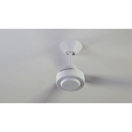 BAYSIDE 213015 - Ventilador de teto CALYPSO branco