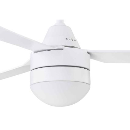 BAYSIDE 531016 - Ventilador de teto MEGARA 2xE14/15W/230V branco + controlo remoto