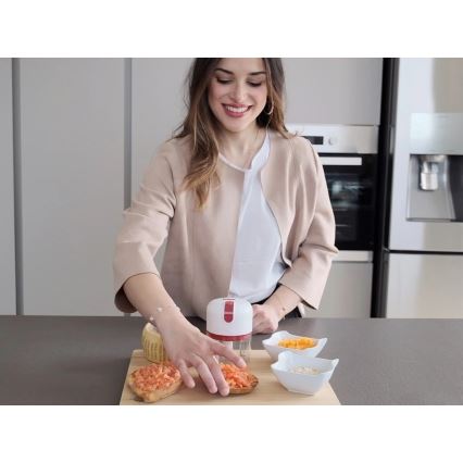 Beper - Picador recarregável 30W/5V 1500 mAh 250 ml