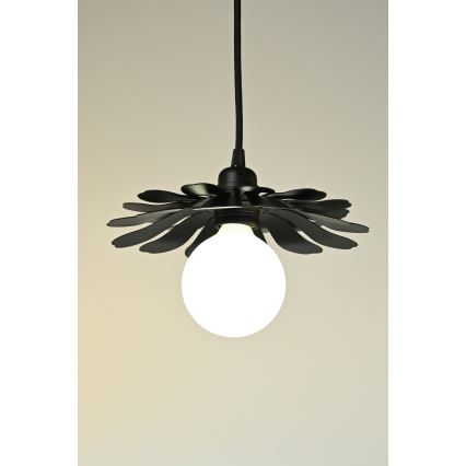 Bohemia-Design - Lustre suspenso com cabo 1xE27/60W/230V preto
