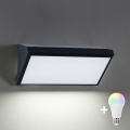 Brilagi - Aplique de parede exterior LED RGBW dimerizável TRIANGLE 1xE27/15W/230V 2700-6500K IP65 preto