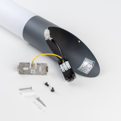 BRILAGI - LED RGBW Dimerizável aplique de parede exterior ELIA 1xE27/6,5W/230V 2700-6500K IP44 Wi-Fi antracite