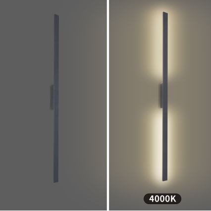 Brilagi - Aplique de parede LED para exterior LUNA LED/30W/230V 4000K IP65 150 cm antracite IRC 90