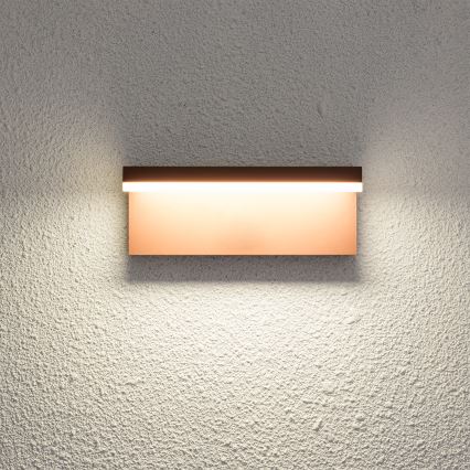 Brilagi - Aplique de parede LED para exterior TESSI LED/10W/230V castanho IP54