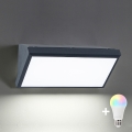 BRILAGI - Aplique de parede LED RGBW dimerizável para exterior TRIANGLE 1xE27/12W/230V 2700-6500K IP65 antracite
