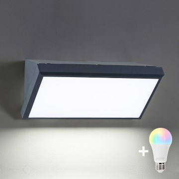 BRILAGI - Aplique de parede LED RGBW dimerizável para exterior TRIANGLE 1xE27/12W/230V 2700-6500K IP65 antracite