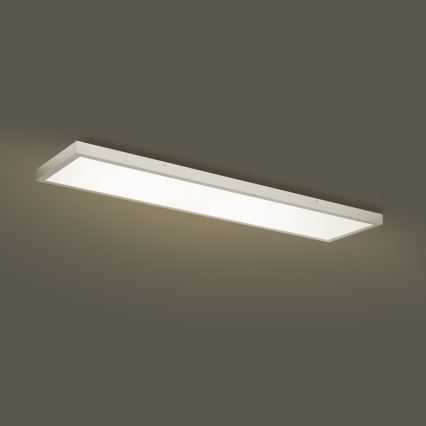 Brilagi - Plafon LED para casa de banho FRAME LED/50W/230V 3000/4000/6000K 120x30 cm IP44 prateado