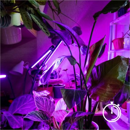 Brilagi - Candeeiro de pé flexível regulável LED para plantas em crescimento VITABLOOM 4xLED/7,5W/230V preto