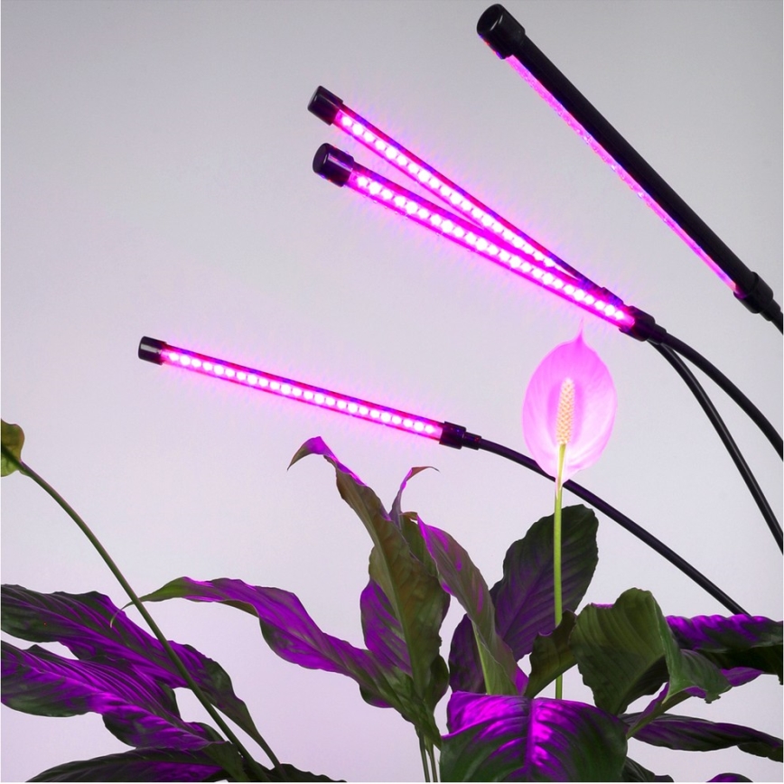 Brilagi - Candeeiro de pé flexível regulável LED para plantas em crescimento VITABLOOM 4xLED/7,5W/230V preto