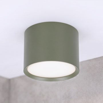 BRILAGI - Candeeiro de embutir SMOOTH 1xGX53/15W/230V 60x82 mm verde escuro