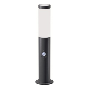 Brilagi - Candeeiro de exterior com sensor ELIA 1xE27/20W/230V IP44 50 cm antracite