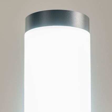 BRILAGI - Candeeiro de exterior com tomada ELIA 1xE27/20W/230V IP44 50 cm antracite