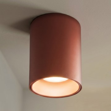 BRILAGI - Candeeiro de focos TRINE 1xGU10/30W/230V castanho