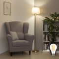 Brilagi - Candeeiro de pé LED CERIA 1xE27/20W/230V Ø 30 cm bege/dourado