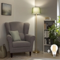 Brilagi - Candeeiro de pé LED CERIA 1xE27/20W/230V Ø 30 cm verde/dourado