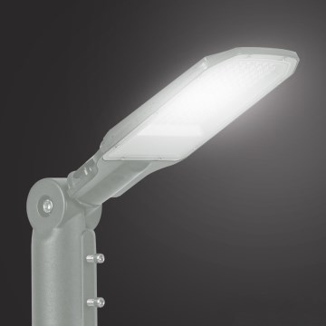 Brilagi - Candeeiro de rua LED URBANLIGHT LED/50W/230V cinzento IP65