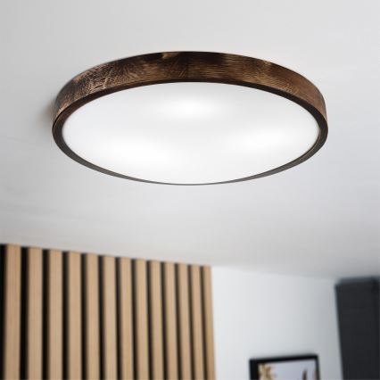 Brilagi - Candeeiro de tecto CARVALHO SLIM SMOKEY 3xE27/60W/230V carvalho Ø 47,5 cm