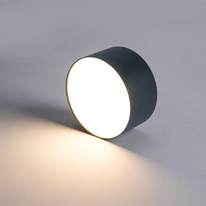 BRILAGI - Luminária de teto para exterior LED FORIS LED/9W/230V, Ø 9 cm, antracite, IP44