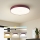 Brilagi - Candeeiro de tecto LED dimável POOL LED/48W/230V 3000-6000K Ø 40 cm bordô + controlo remoto