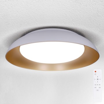 Brilagi - Candeeiro de tecto LED dimerizável ALVA LED/48W/230V 3000-6500K diâmetro 51 cm branco + controlo remoto
