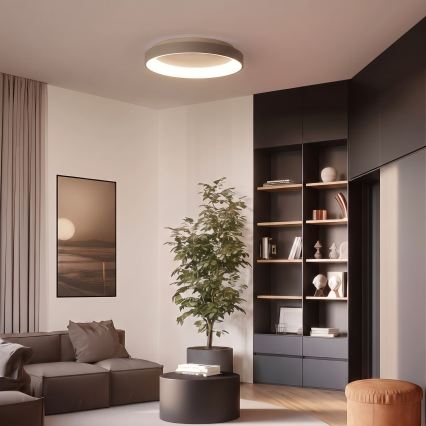 BRILAGI - luminária de teto LED dimerizável FALCON II LED/99W/230V 3000-6500K Ø 60 cm bege + controlo remoto