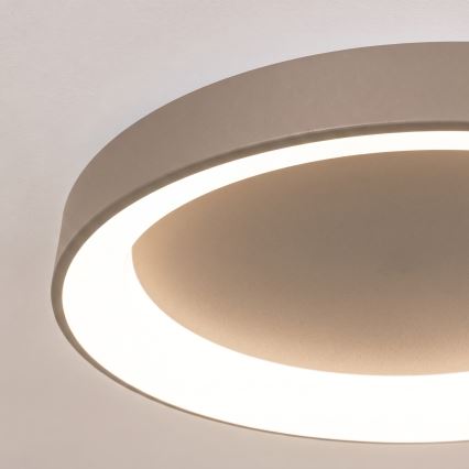 BRILAGI - luminária de teto LED dimerizável FALCON II LED/99W/230V 3000-6500K Ø 60 cm bege + controlo remoto