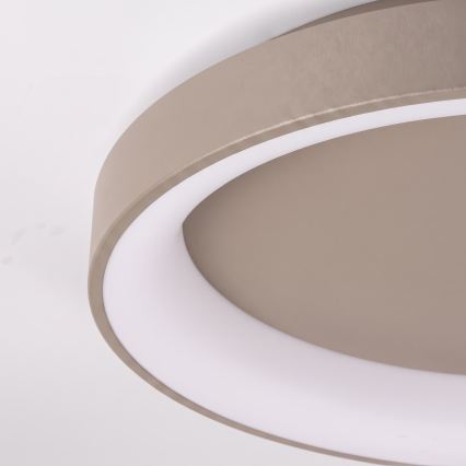 BRILAGI - luminária de teto LED dimerizável FALCON II LED/99W/230V 3000-6500K Ø 60 cm bege + controlo remoto