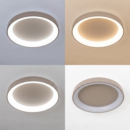 BRILAGI - luminária de teto LED dimerizável FALCON II LED/99W/230V 3000-6500K Ø 60 cm bege + controlo remoto