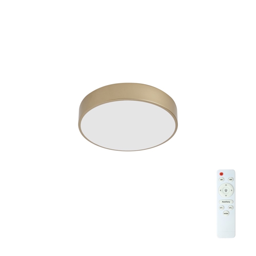 BRILAGI - Candeeiro de tecto LED regulável POOL LED/36W/230V 3000-6000K Ø 30 cm dourado + comando à distância