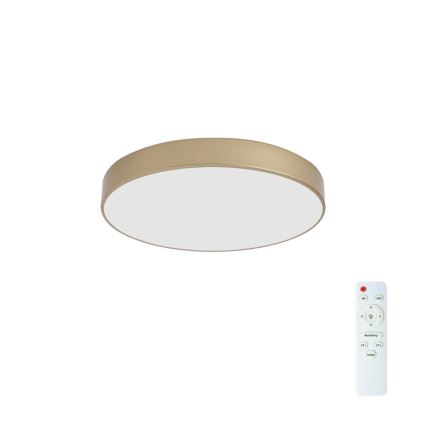BRILAGI - Candeeiro de tecto LED regulável POOL LED/60W/230V 3000-6000K diâmetro 50 cm dourado + comando remoto