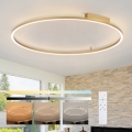 Brilagi - Candeeiro de tecto LED dimerizável PORTOFINO LED/85W/230V 3000–6000K Ø 120 cm dourado + comando remoto
