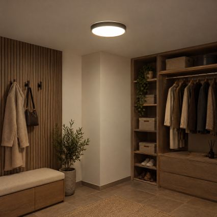 BRILAGI - Candeeiro de tecto LED NATURA LED/24W/230V 4000K diâmetro 38,3 cm