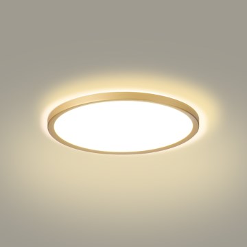 Brilagi - Candeeiro de tecto LED para casa de banho ULTRA SLIM LED/18W/230V Ø 30 cm dourado IP54