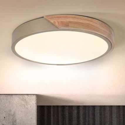 BRILAGI - Candeeiro de tecto LED PILANA LED/24W/230V carvalho/bege Ø 30 cm
