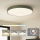 Brilagi - Candeeiro de tecto LED POOL LED/100W/230V 3000/4000/6000K Ø 80 cm verde