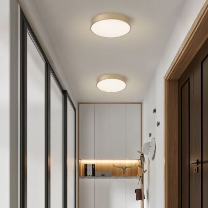Brilagi - Candeeiro de tecto LED POOL LED/48W/230V 3000/4000/6000K diâmetro 40 cm dourado