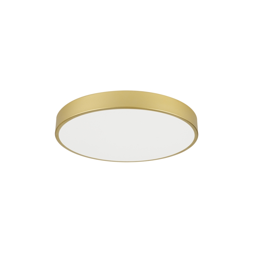 Brilagi - Candeeiro de tecto LED POOL LED/60W/230V 3000/4000/6000K diâmetro 60 cm dourado